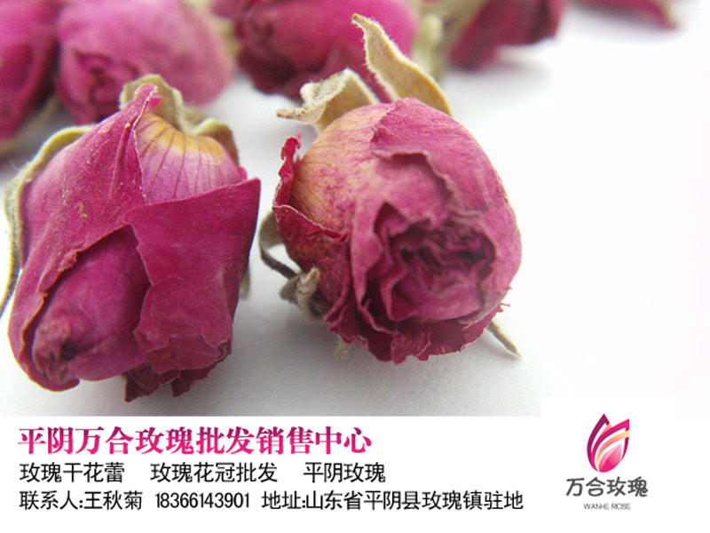 产地直供正宗平阴玫瑰花茶2015年新货