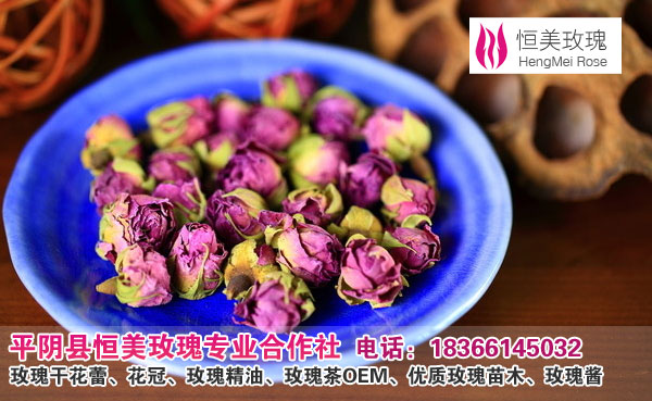 特级正宗无硫玫瑰平阴玫瑰花花茶