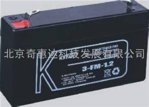 科士达蓄电池12V120AH海口12V120电瓶