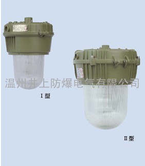 BnD81“n”型防爆灯 FAD-T增安型防爆防腐灯