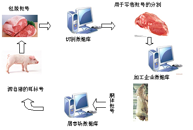 食品安全溯源系统