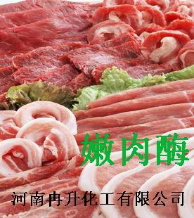嫩肉酶，肉制品专用嫩肉酶价格