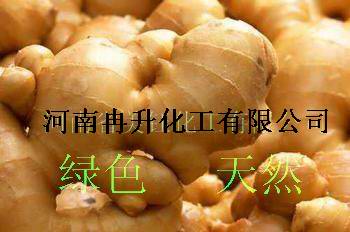 生姜粉，高效食用调味剂，郑州供应价格