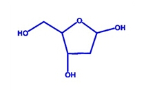 2-脱氧-D-核糖