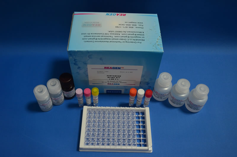 reagen新霉素检测试剂盒