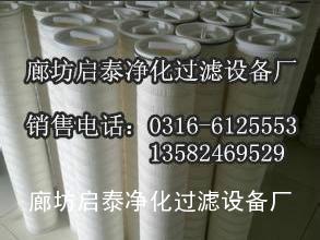 【启泰】供应HC0250FDS6H颇尔滤芯 选用进口材质出售