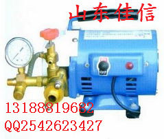 供应DSY-60电动试压泵（试压泵）DSY-60手提式电动试压泵