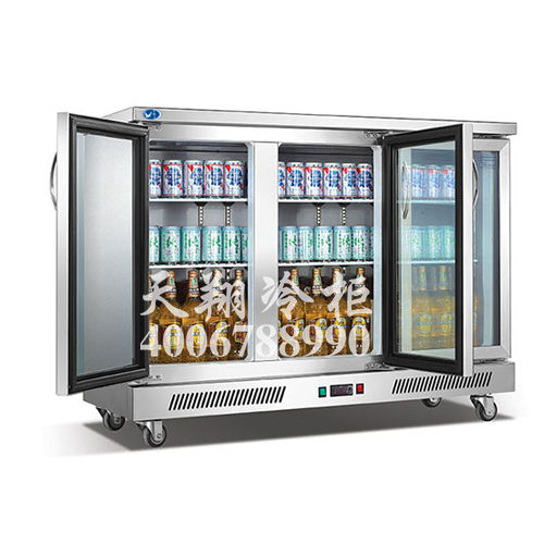 餐厅专用冰柜餐厅 冰柜冷藏冷冻柜