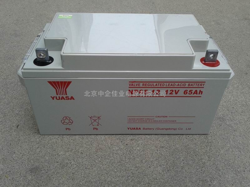 汤浅蓄电池YUASA NP65-12 12V65AH UPS专用 原装正品 保三年