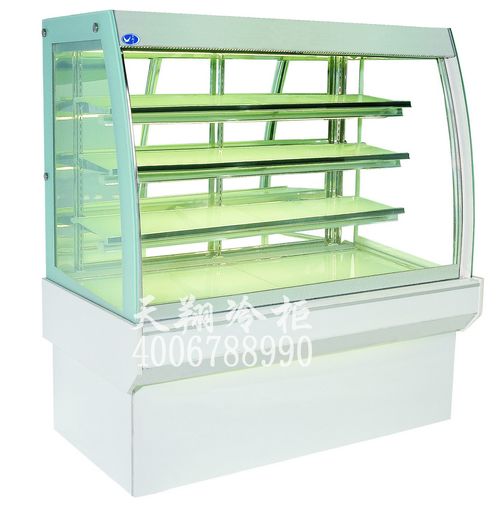 商用冷柜不锈钢冷柜保鲜冰柜