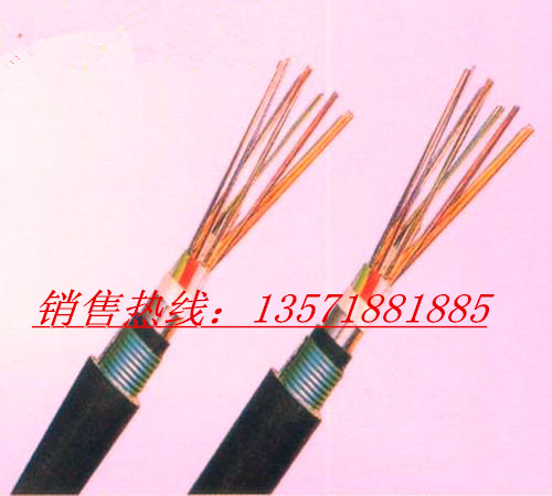 海北(海晏)KVV控制电缆/KVVP屏蔽控制电缆厂家价格型号