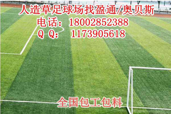 巴马县、环江县、大化县人造草坪地毯足球场生产厂家施工方案价格