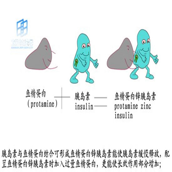 鱼精蛋白