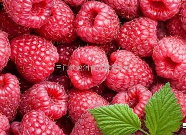 红树莓浓缩果汁原浆 原料  酵素原料饮料厂原料