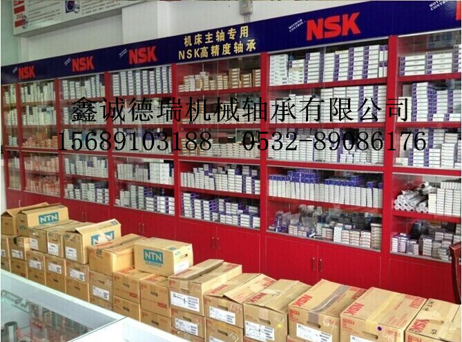 绍兴市NSK进口轴承总代理NSK轴承批发商