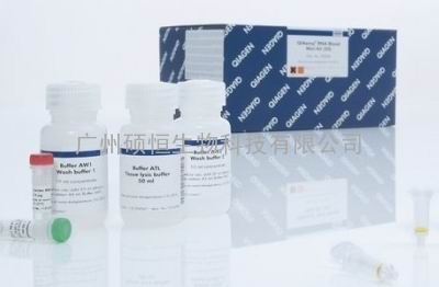 Qiagen52304 QIAamp RNA Blood Mini Kit/血液RNA提取试剂盒