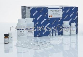 Qiagen51304 QIAamp DNA Mini Kit/Qiagen DNA提取试剂盒