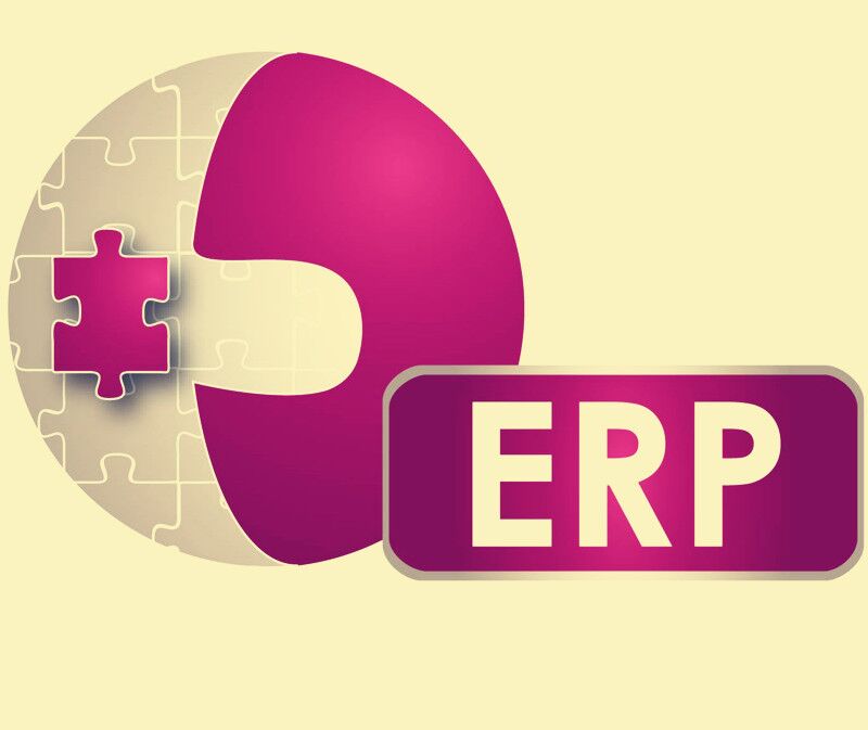 ERP顾问主要做什么？