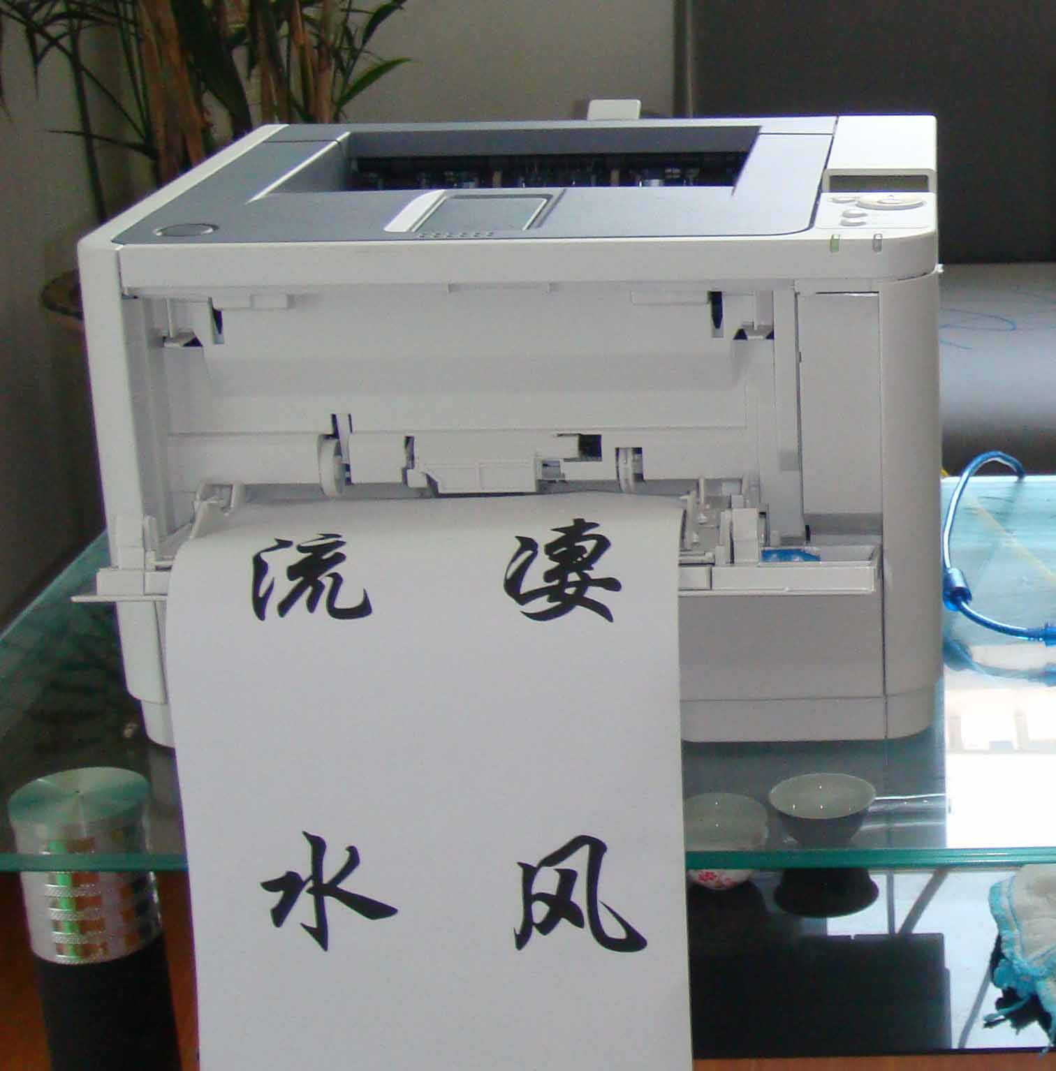 OKIB431DN花圈挽联打印机