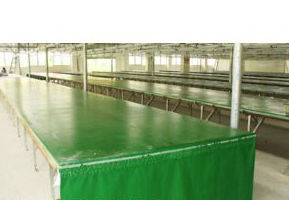 （量大优惠）扬州厂家pvc涂塑布 绿色三防布 