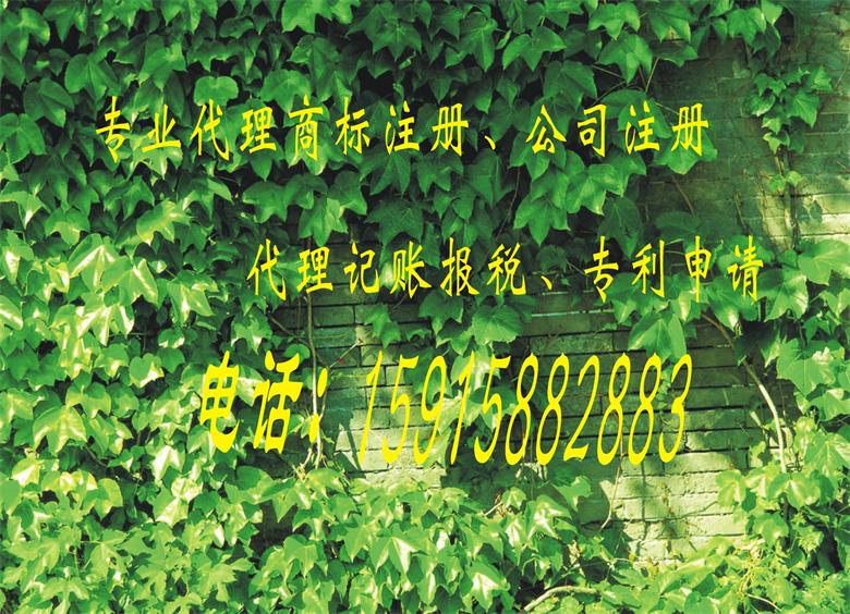 广州天河区哪家代理记账的公司比较专业、公司注册、商标注册、专利申请