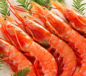 【供应】部分产品价格下调：阿根廷红虾，半壳日月贝