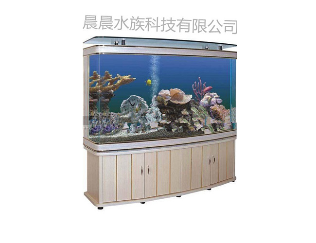 水族箱摆放位置