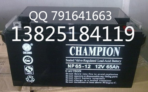 CHAMPION电池NP65-12冠军蓄电池12V65AH型号报价