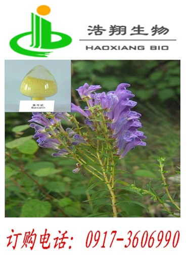 黄芩甙CAS21967-41-9