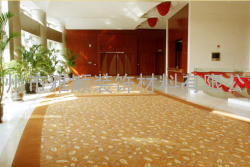 阿克明酒店走廊地毯
