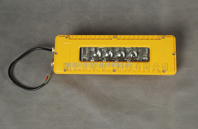 购买DGS10/10W/24V(A)矿用隔爆型LED巷道灯