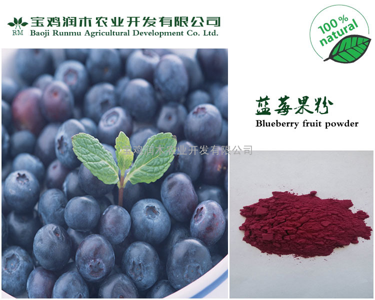 新鲜水果 蓝莓粉 100%纯天然 全水溶 蓝莓果汁粉 蓝莓果粉