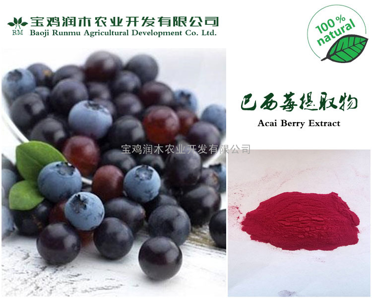 巴西莓果粉 100%纯天然粉 具有抗氧化 抗衰老作用 1kg起订