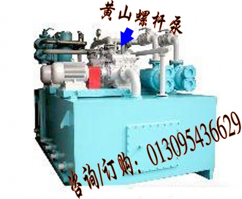 SNH660R54U12.1W21三螺杆泵,SNS660R46U12.1W21三螺杆泵,SNE440