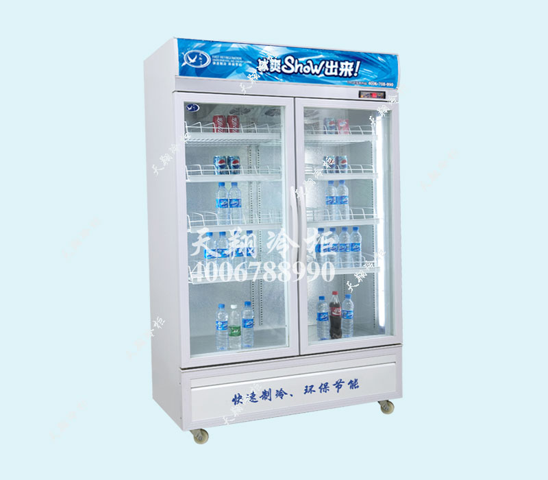 餐厅专用冰柜厨房冷藏冰柜水果冷藏展示柜
