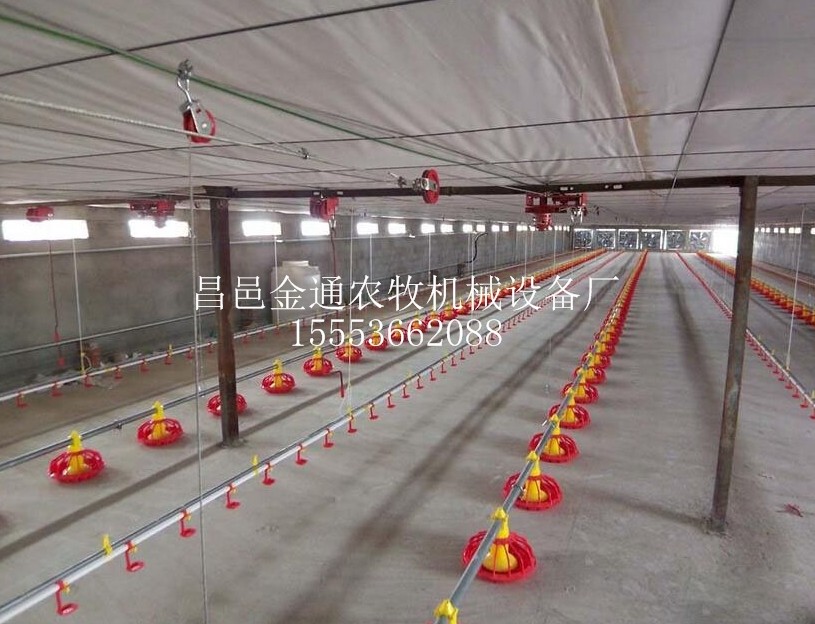 金通农牧 养鸡设备 肉鸡自动化料线水线 自动供料饮水设备