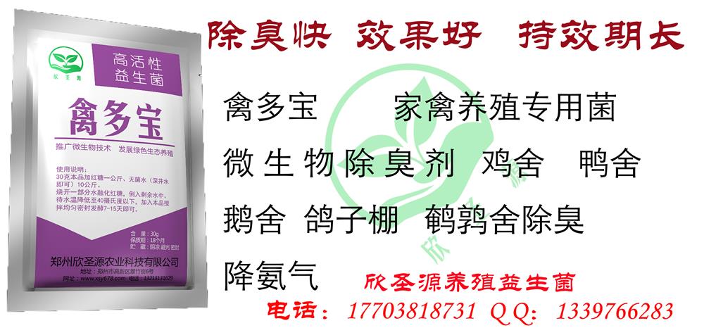 肉鹅除臭去氨气都有什么方法？