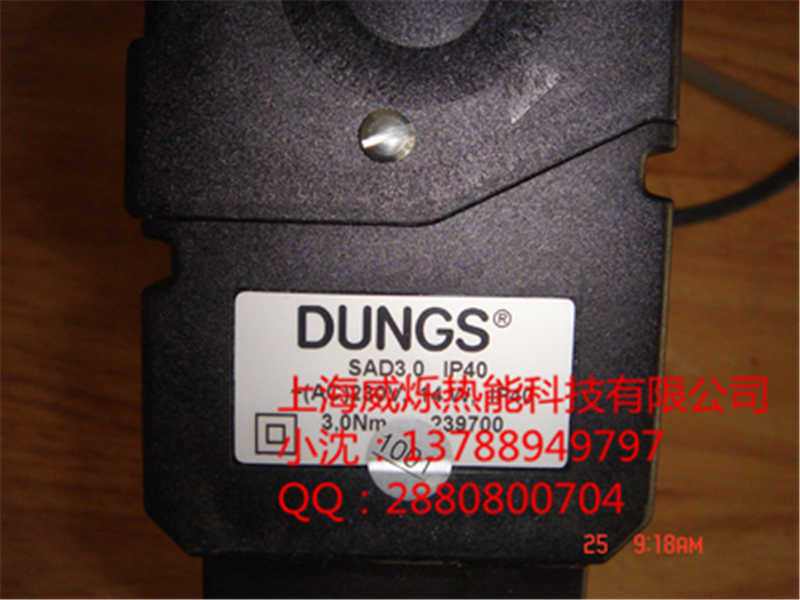 供应DUNGS冬斯SAD3.0IP40伺服电机