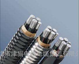 AC90 联锁铠装铝合金电缆 天津电缆总厂
