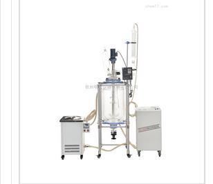上海路晨100l单层玻璃反应釜
