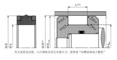 PARKER派克 ZP型活塞组合密封