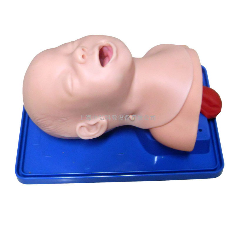 婴儿气管插管训练模型，婴儿急救插管模型