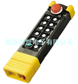 SAGA1-K4 12个双速按键遥控器