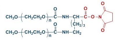 Y-NHS Y型甲氧基聚乙二醇琥珀酰亚胺羧酸酯