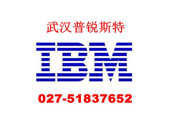 IBM X3850M2 MR10K 阵列卡