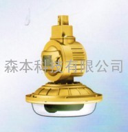 宁波SBD1102-YQL40免维护节能防爆灯