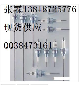 ZE14-8-70A1点火电极BERU 