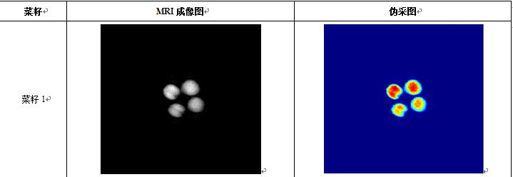 籽含油含水率及核磁共振成像测试