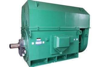 西安泰富西玛电机有限公司Y5602-12 355KW 10KV高压电机 鼠笼电机