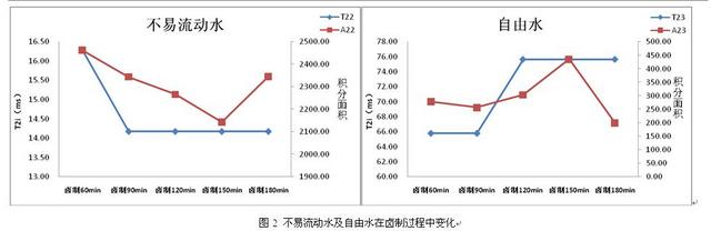 牛肉测试实验